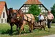 Fachwerkhäuser mit Reetdächern. Davor ein historischer Wagen mit zwei Männern, der von zwei Pferden gezogen wird. 